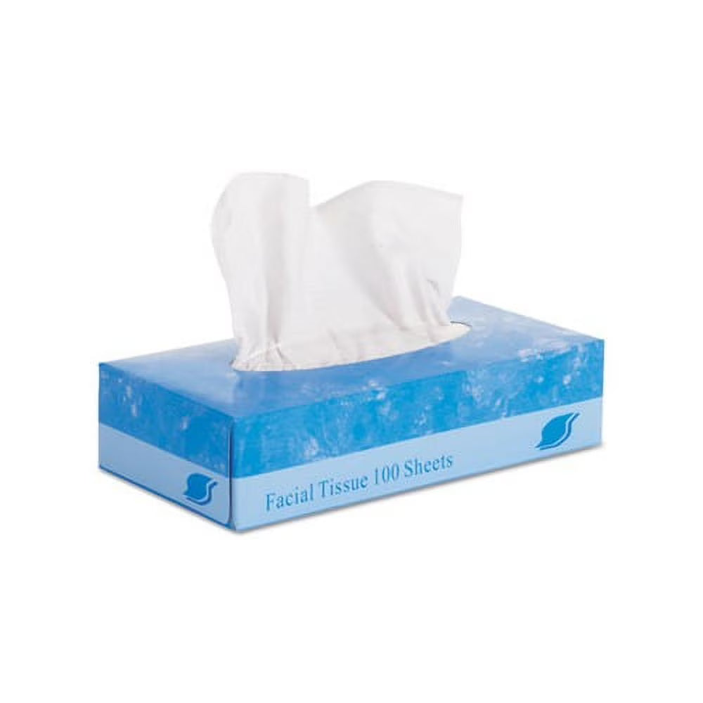 GEN Boxed Facial Tissue,100 Sheets/Box, 30 Boxes/Case