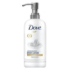 Dove (Large Format)