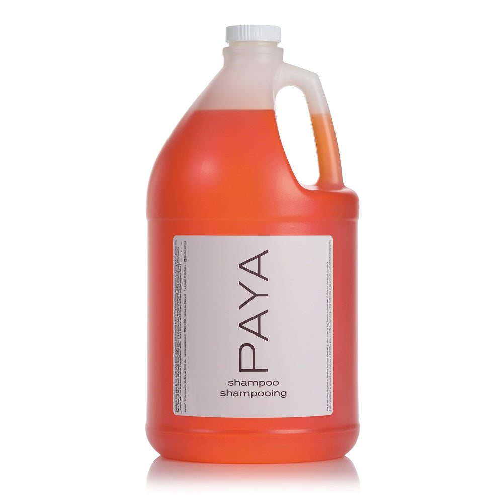 Paya (Refill)