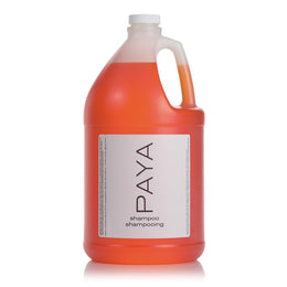Paya (Refill)