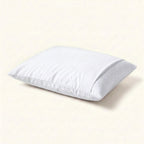 Pillow Protectors – Pack of 12
