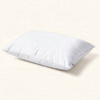 Pillow Protectors – Pack of 12