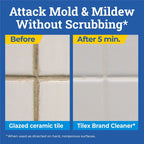 CloroxPro Tilex Disinfecting Instant Mold and Mildew Remover Spray, 32 fl. oz, 9/Case